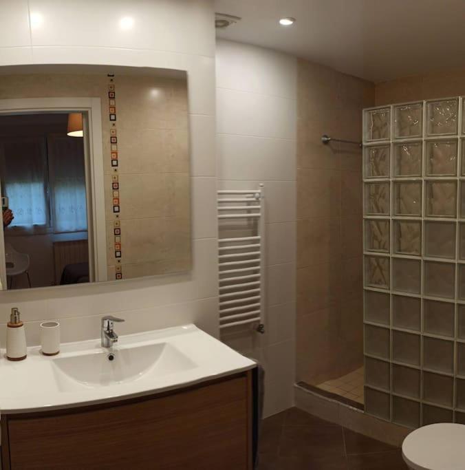 Acogedor Y Precioso Apartamento + Parking Privado サン・セバスティアン エクステリア 写真